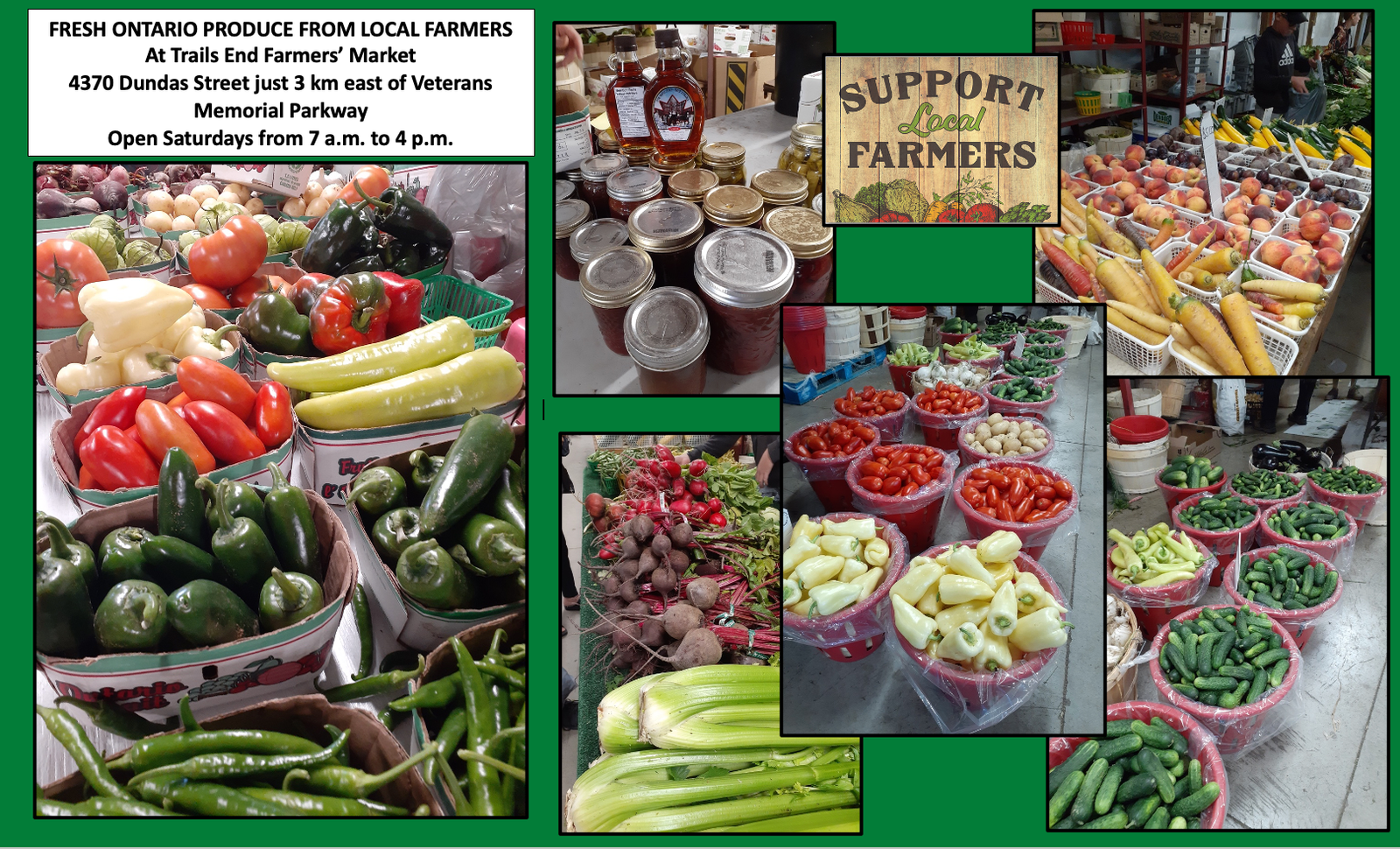 local farmers ad end of august into fall