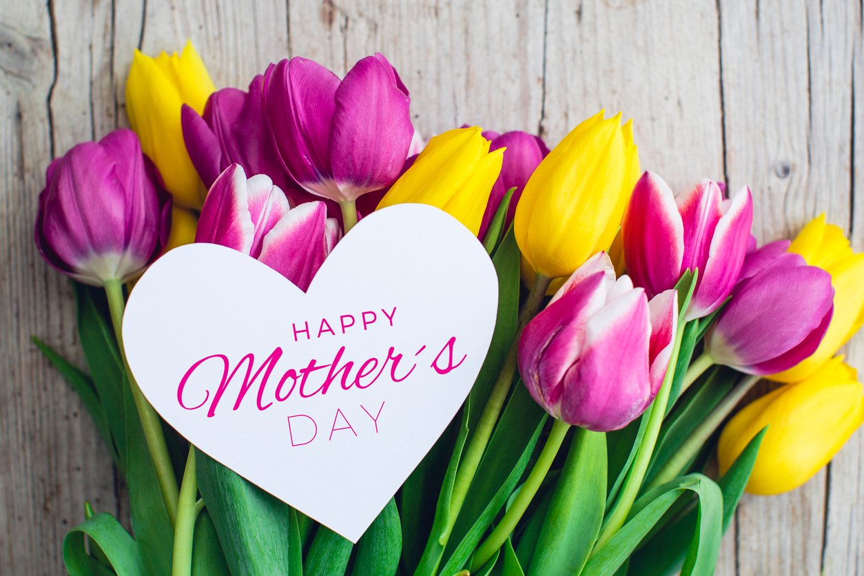 Greeting card Pink and yellow tulips on a wooden background
