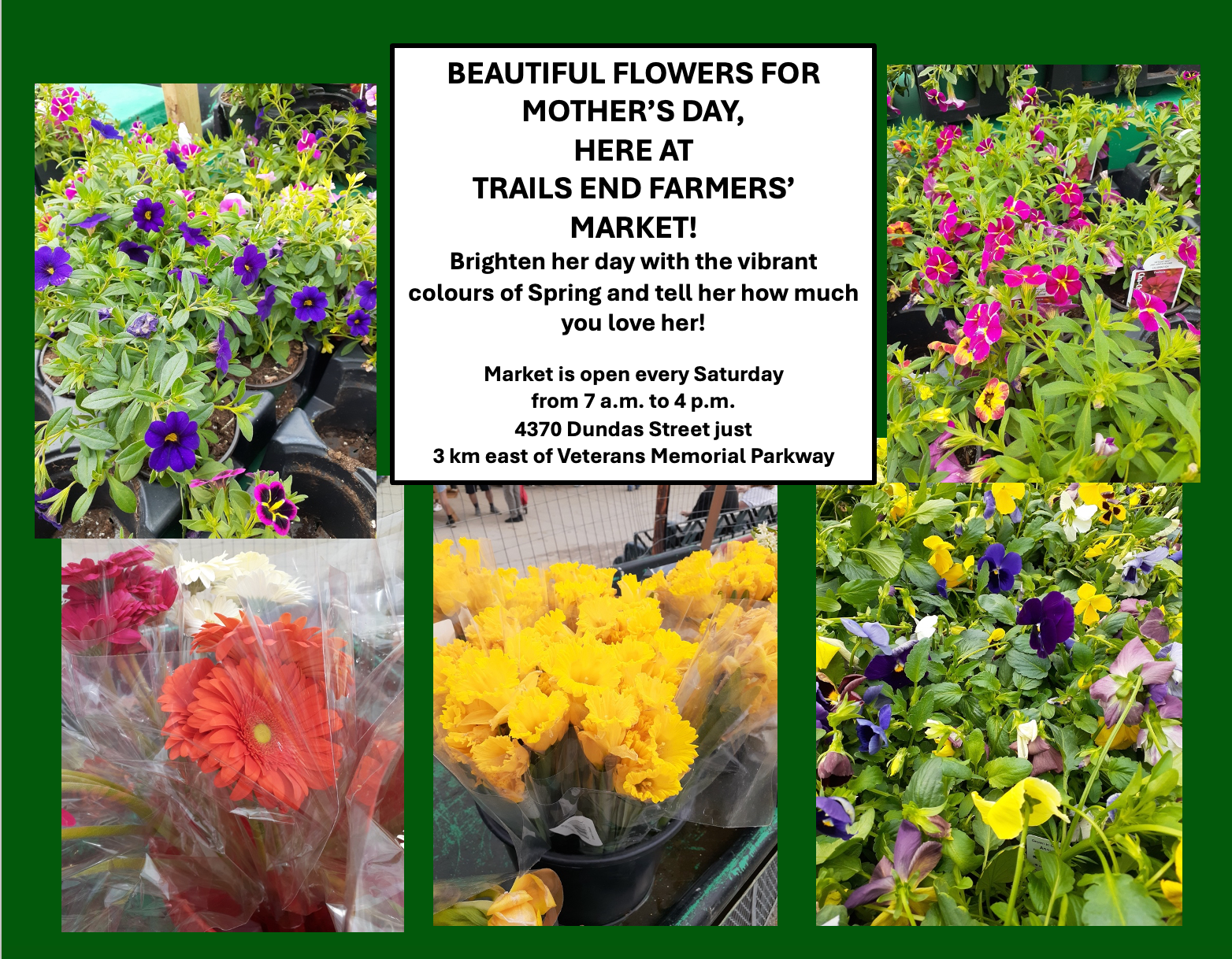 mother's day flower ad 2024