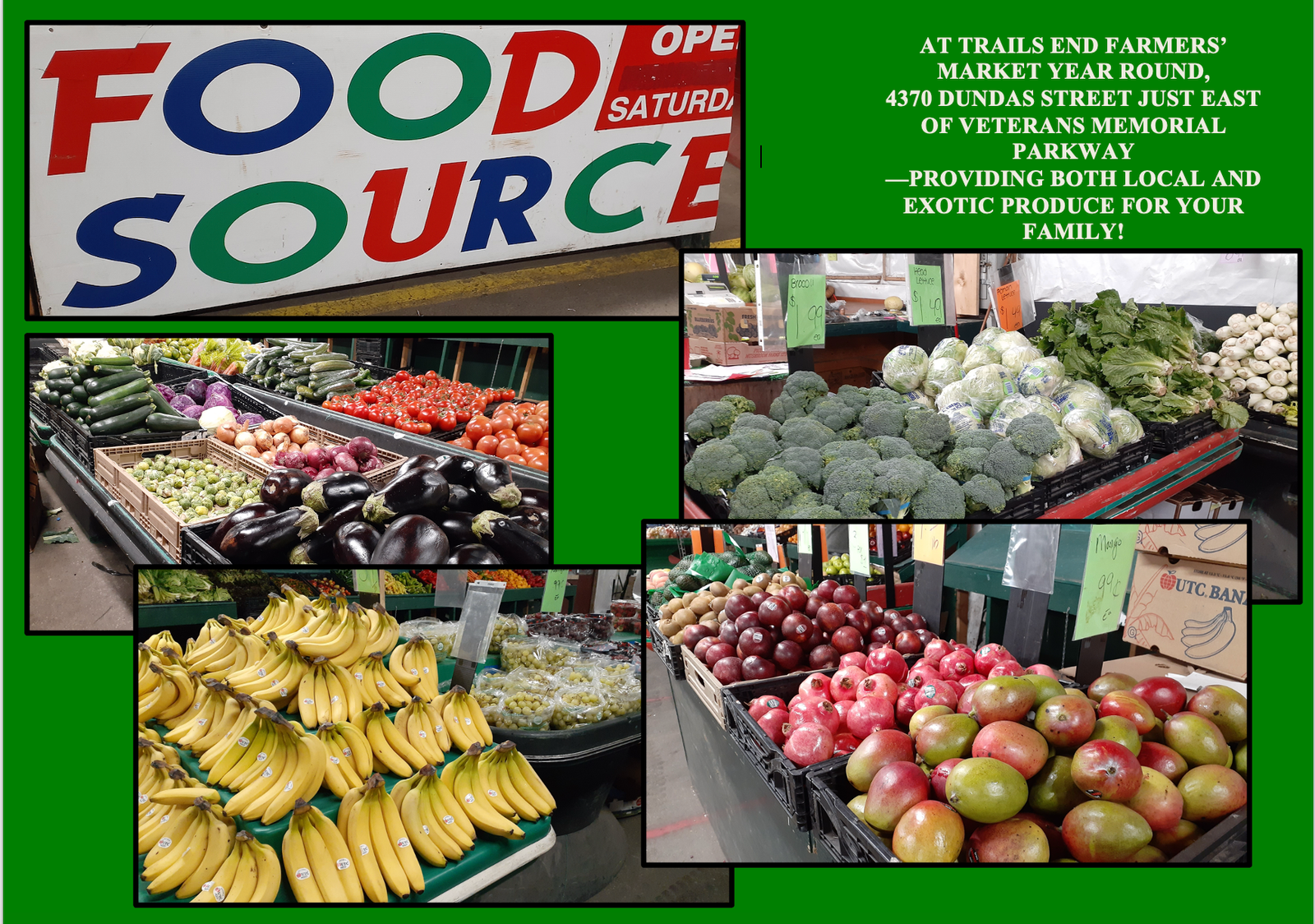 food source compilation photo
