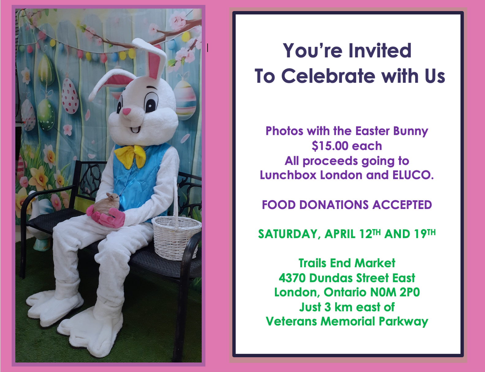 bunny post april 17 2025