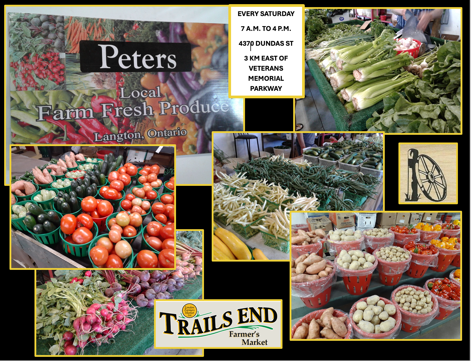 PETERS PRODUCE 2025 COMPOSITE