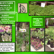 bergen farm 2026 composite