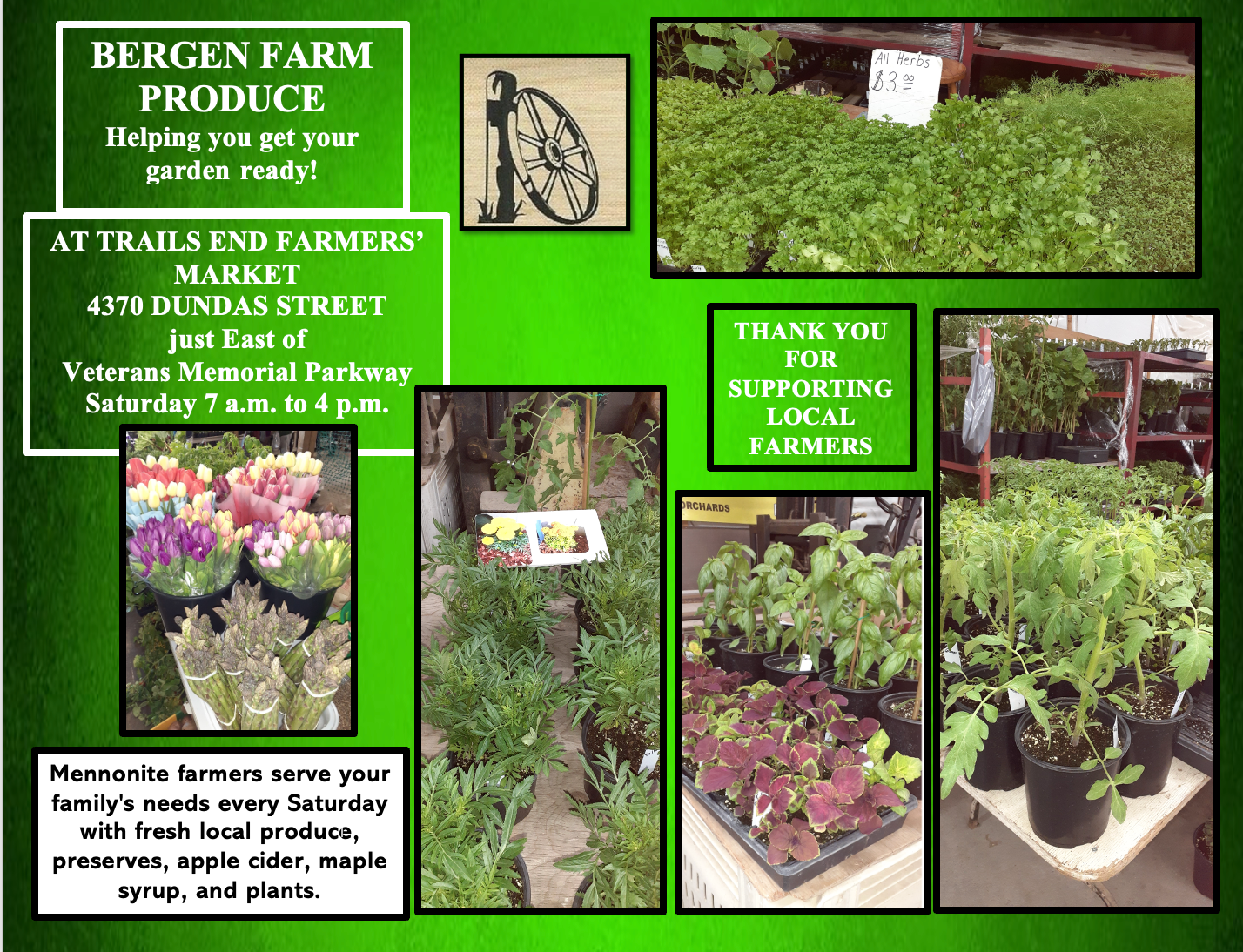 bergen farm 2026 composite