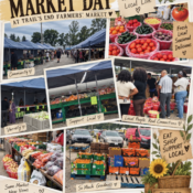 market successful